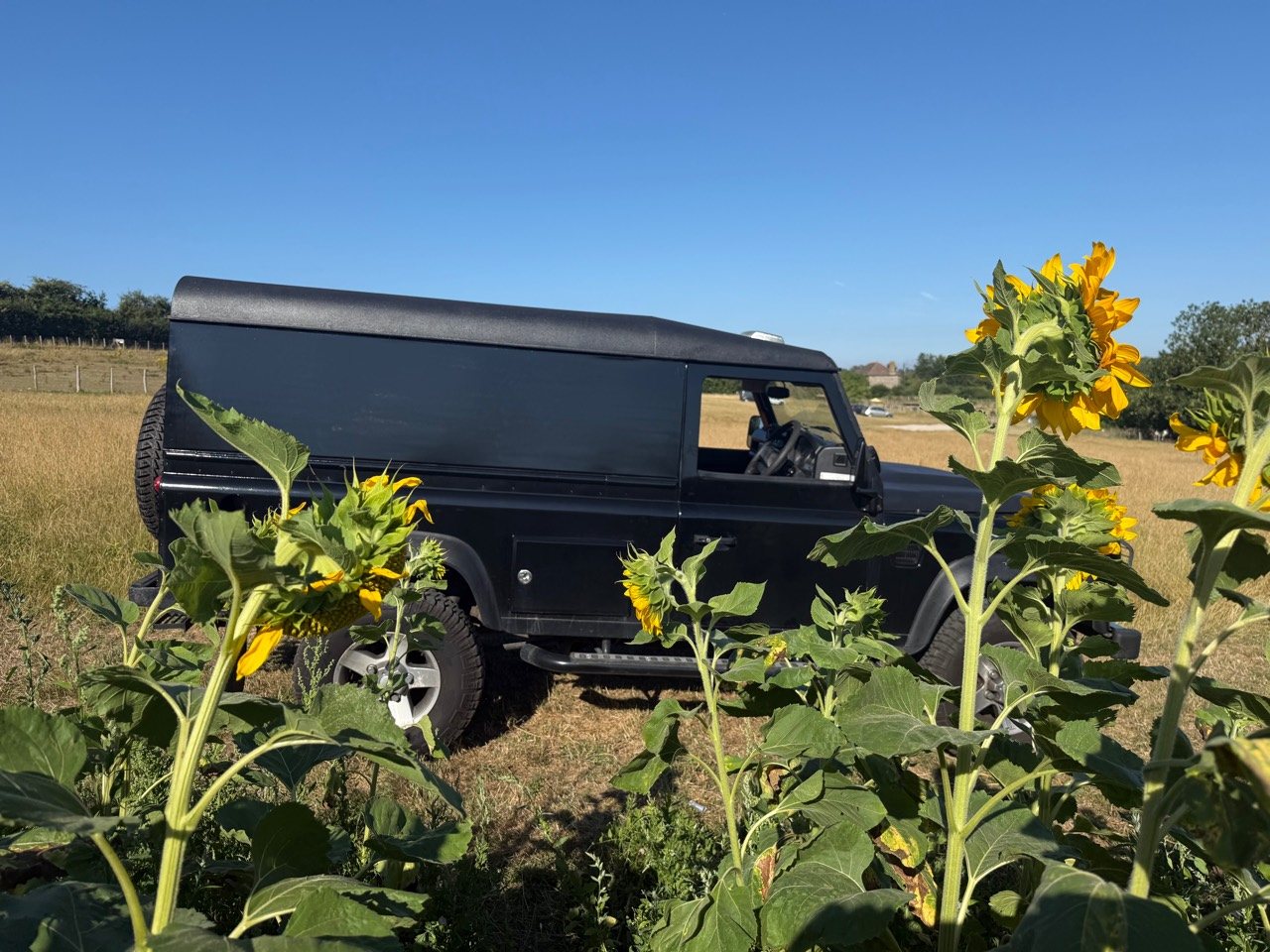 Side profile of the black Defender seen through sunflowers